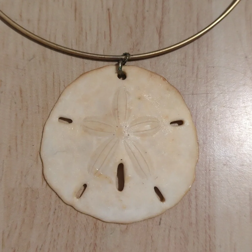 Unique Vintage Sand Dollar Choker - Picture 2 of 5